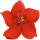 小红花音效助手