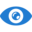 Eye Shape Detector