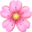 花快图
